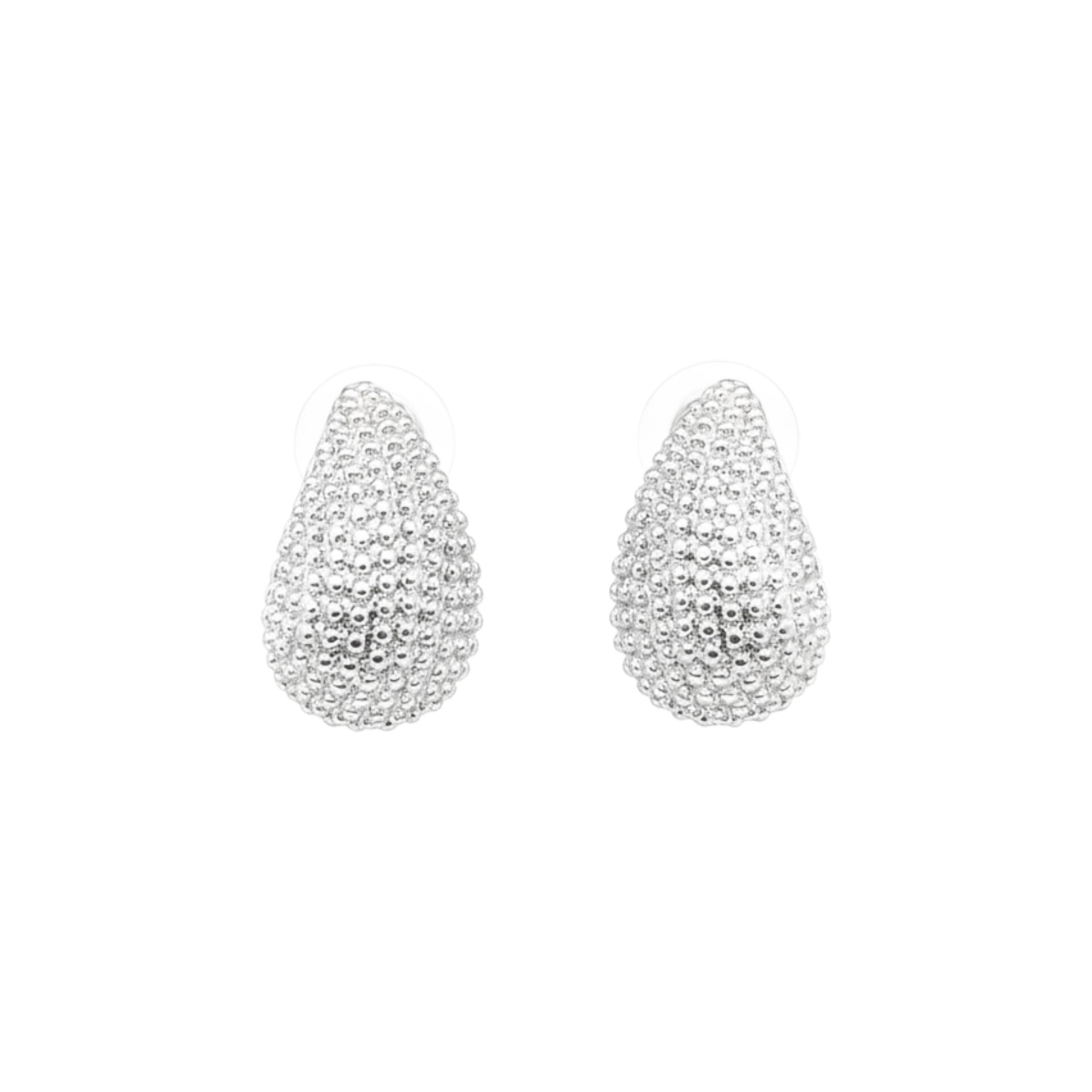 Ee049 Lustrous Silver Earrings
