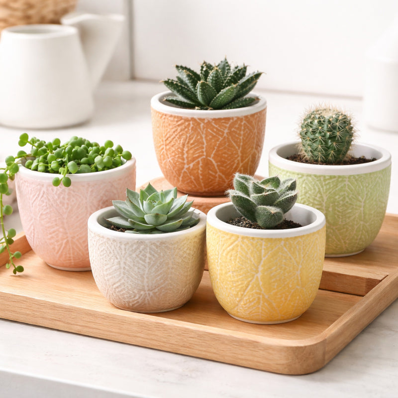 Frankly Cotton Embossed Ceramic Pots