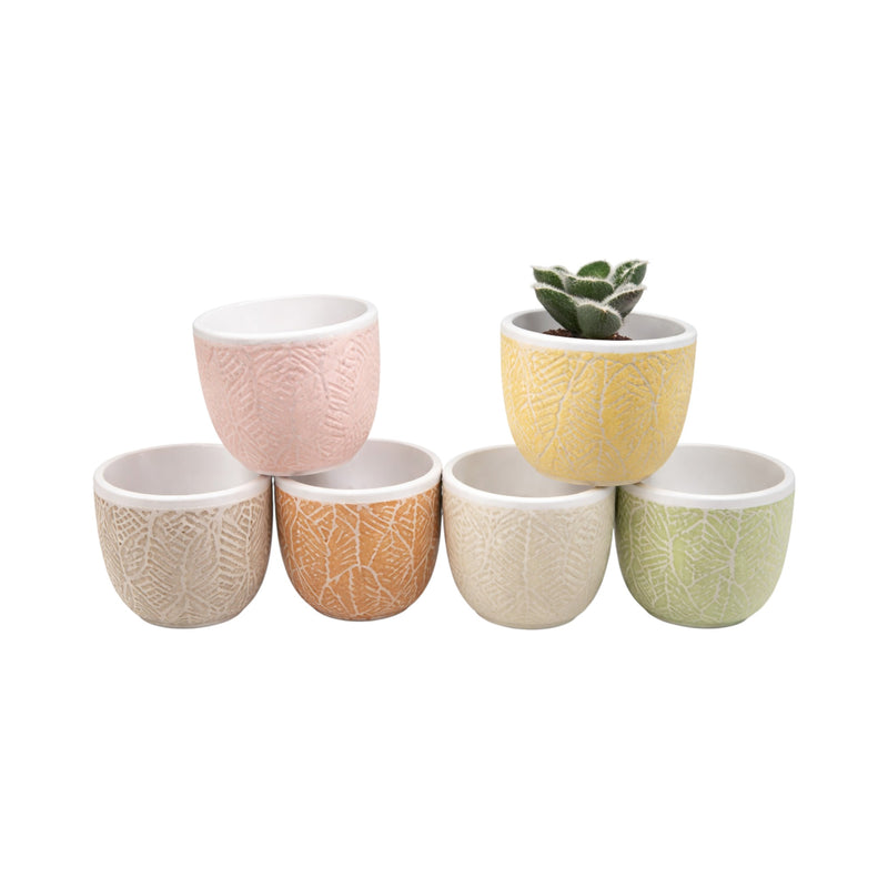 Frankly Cotton Embossed Ceramic Pots