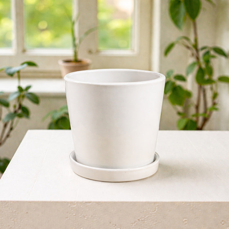 Frankly Cotton Small White Ceramic Plant Pot with Saucer