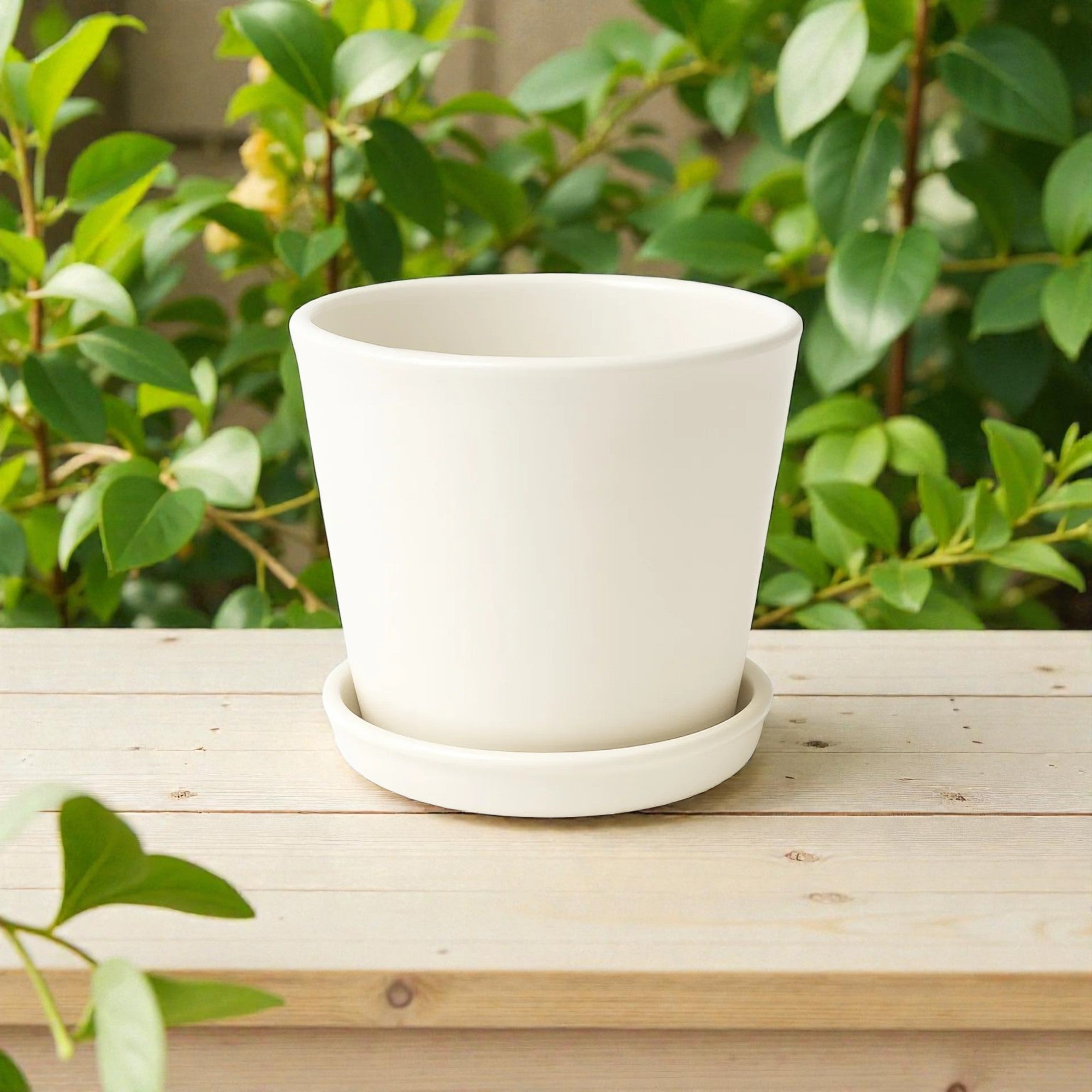 Frankly Cotton White Ceramic Plant Pot with Saucer 15cm