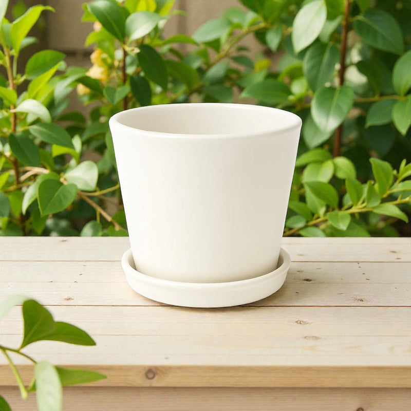 Frankly Cotton White Ceramic Plant Pot with Saucer 15cm