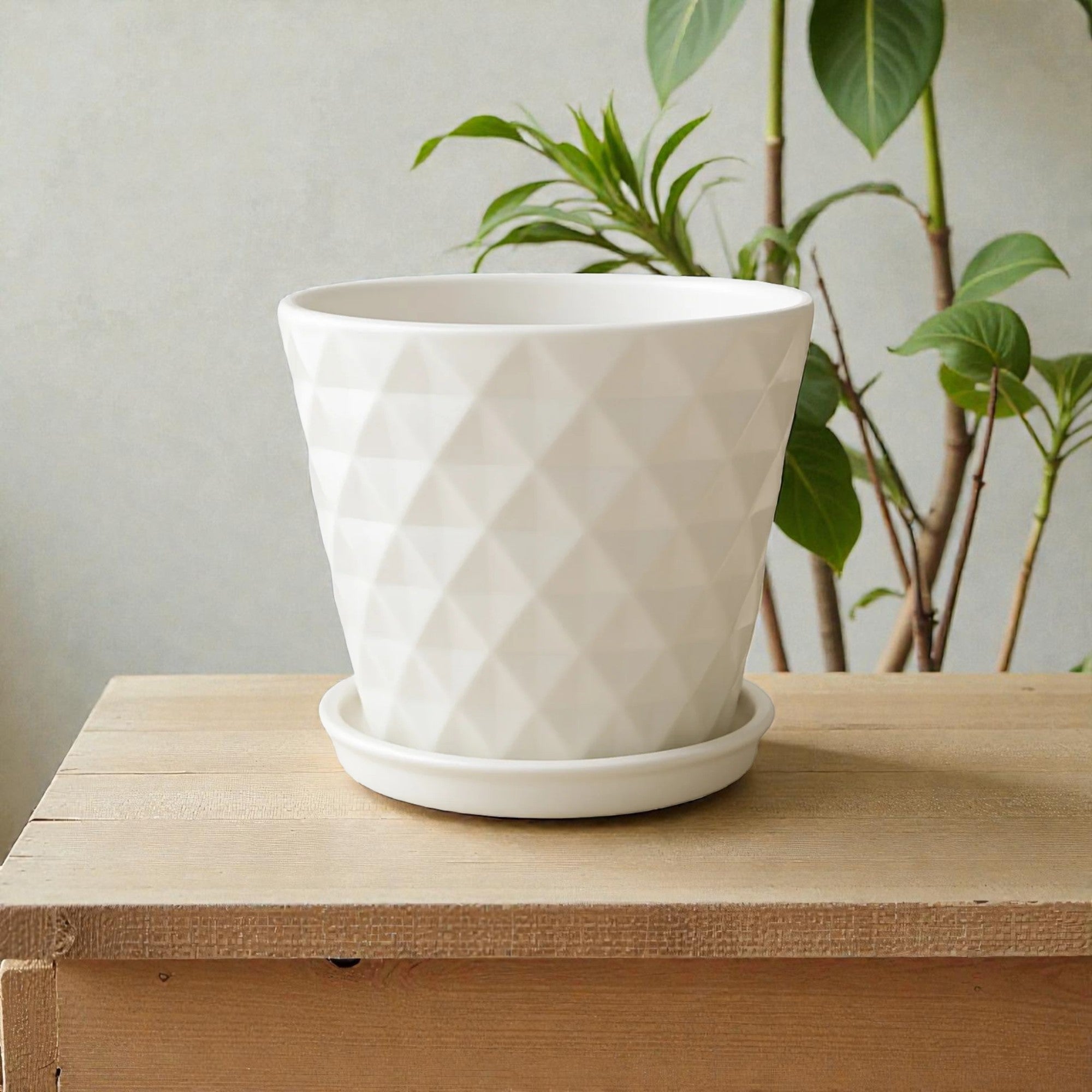 Frankly Cotton White Geometric Ceramic Plant Pot with Saucer 16cm