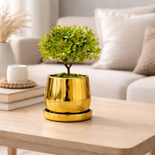 Frankly Cotton Gold Ceramic Plant Pot