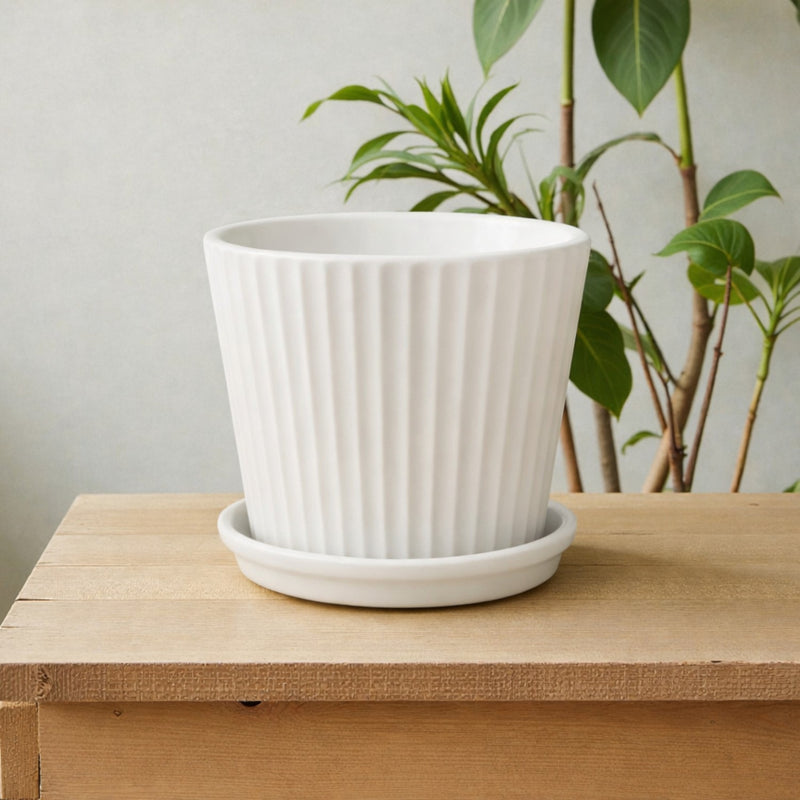 Frankly Cotton White Ribbed Ceramic Planter