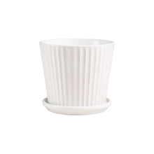 Frankly Cotton White Ribbed Ceramic Planter